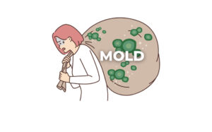 Mold and health photo