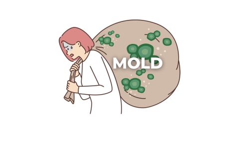 Mold and health photo