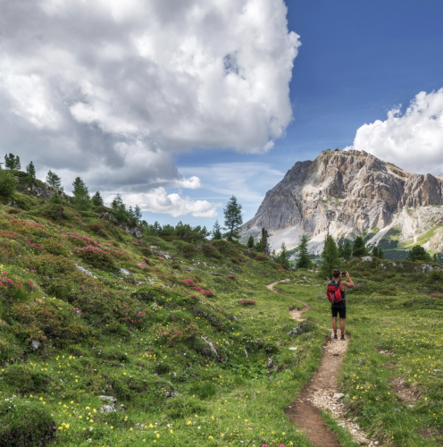 corewellness nature photo rocky mountains